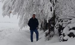 Bitlis’te Kırağı Kartpostallık Manzaralar Oluşturdu