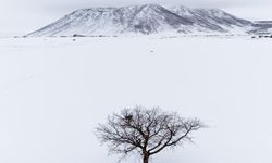 Kar örtüsü altındaki Rahva Ovası kartpostallık manzaralar sunuyor