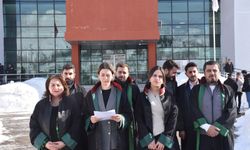 Bitlis’te “Tehlikedeki Avukatlar Günü” Açıklaması