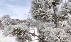 Ardahan'da dondurucu soğuklar etkisini artırdı