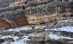 Bin 600 rakımda sürülerin yolculuğu görüntülendi