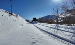 Bingöl'de ekipler gece gündüz kar mesaisinde