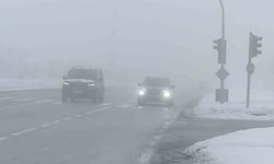 Bingöl'de yoğun sis sürücüler zor anlar yaşattı
