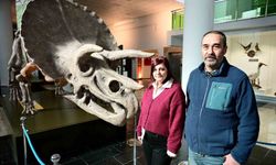 Bitkiden böceğe Türkiye’nin genetik arşivi bu müzede sergileniyor