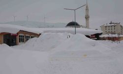 Bitlis’te kar yağışı sonrası 124 köy yolu ulaşıma kapandı