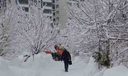 Bitlis'te kar yağışı yeniden etkisini gösterdi