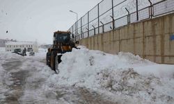 Bitlis'te karla mücadele seferberliği