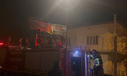 Çatıdaki kedi için itfaiye ekipleri seferber oldu