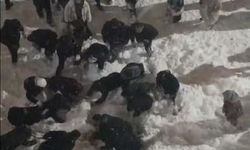 Çatıdan düşen kar kütlesinin altında kalan öğrenci yaralandı