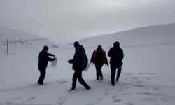 Darende'de öğretmen ve öğrenciler yaban hayvanlarını yalnız bırakmadı