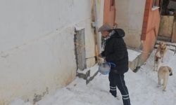 Donan su şebekelerine pürmüzlü çözüm