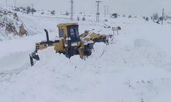 Elazığ'da 130 köy yolu açıldı, 207'sinde çalışmalar devam ediyor