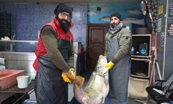 Elazığ’da 78 kiloluk turna balığı yakalandı