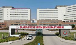 Elazığ’da kış şartları can yaktı: 645 kişi düşerek yaralandı