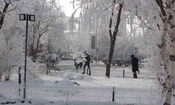 Göle'de kırağı sonrası kartpostallık görüntüler oluştu