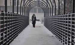 Kars’ta doğa buz tuttu