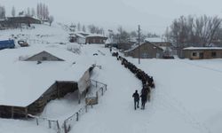 Keçi sürüsünün 4 saatlik zorlu yolculuğu