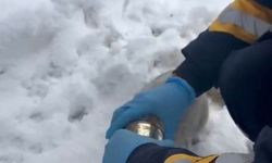 Kedinin yardımına sağlık ekipleri koştu