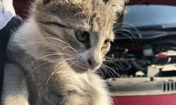 Kışın araç sahiplerine önemli çağrı: Bir vuruş hayat kurtarabilir