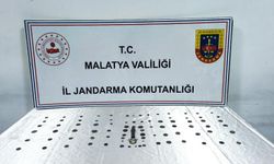 Malatya'da tarihi eser operasyonunda 2 kişi gözaltına alındı