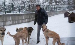 Malatya’nın ikinci hayvan barınağı Battalgazi’de açıldı