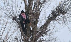 Muş’ta besiciler, hayvan beslemede alternatif yöntem geliştirdi