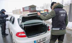 Muş’ta narkotik denetimlerinde uyuşturucu yakalandı