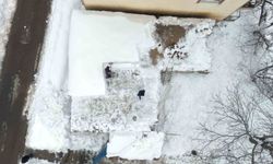 Muş'ta tek katlı evler kara teslim oldu