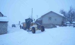 Muş’ta yoğun mesai: 7 bin kilometrelik yol ulaşıma açıldı