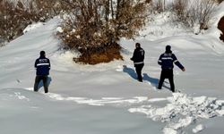 Mutki’de yaban hayvanları için doğaya yem bırakıldı