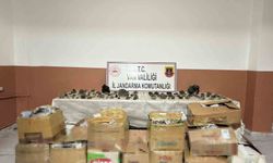 Van'da bin 410 adet epidotlu kuvars taşı yakalandı