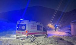 Van'da hayat kurtaran operasyon