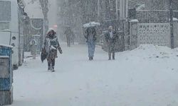 Van’da kar yağışı hayatı durdurdu, 405 yol kapalı