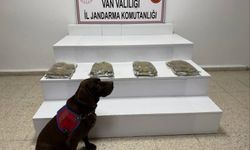 Van’da uyuşturucu operasyonu: 5 kilo kubar esrar yakalandı