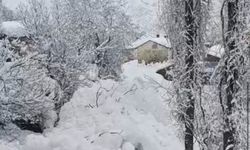 Yüksekova’da çığ yerleşim alanına düştü