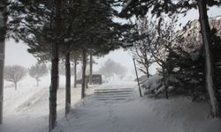 Bitlis için kar, rüzgâr ve fırtına uyarısı