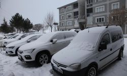 Kar yağışı Ahlat’ı beyaza bürüdü