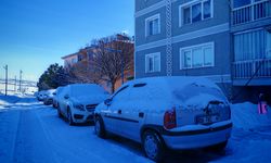 Ahlat’ta kar yağışı etkili oldu