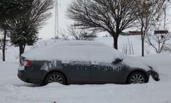 Ahlat’ta kar yağışı etkili oldu