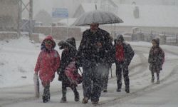 Bitlis’te okullar 1 gün tatil edildi