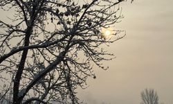 Güroymak’ta sis ve kar tarlaları görsel şölen sundu