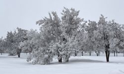 Güroymak'ta kırağı kartpostallık manzaralar oluşturdu