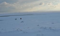 Kuş cenneti Arin Gölü tamamen dondu