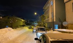 Tatvan’da termometreler eksi 11’i gösterdi