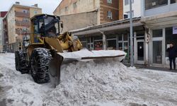 Ahlat Belediyesi’nden karla mücadele çalışması
