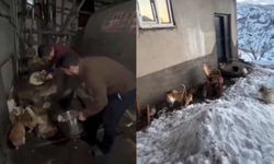 Mutki’de imamdan sokak kedilerine anlamlı destek