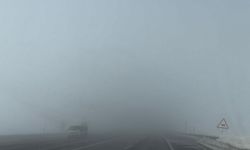 Bitlis-Güroymak yolunda sis etkili oluyor