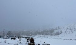 Tatvan’da kar yağışı etkisini sürdürüyor