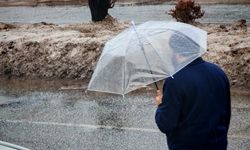 Bitlis ve ilçelerinde kış ortasında yağmur yağışı etkili oldu