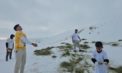 Süphan Dağı’nın eteklerine yaban hayvanları için yem bırakıldı